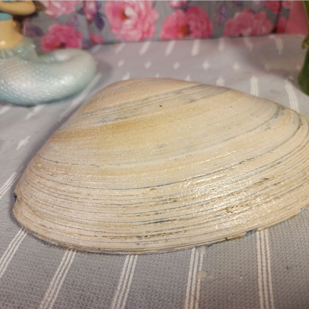 DECOUPAGE CLAM SHELL DECOUPAGE FLOWERS TRINKET DISH - Picture 9 of 11